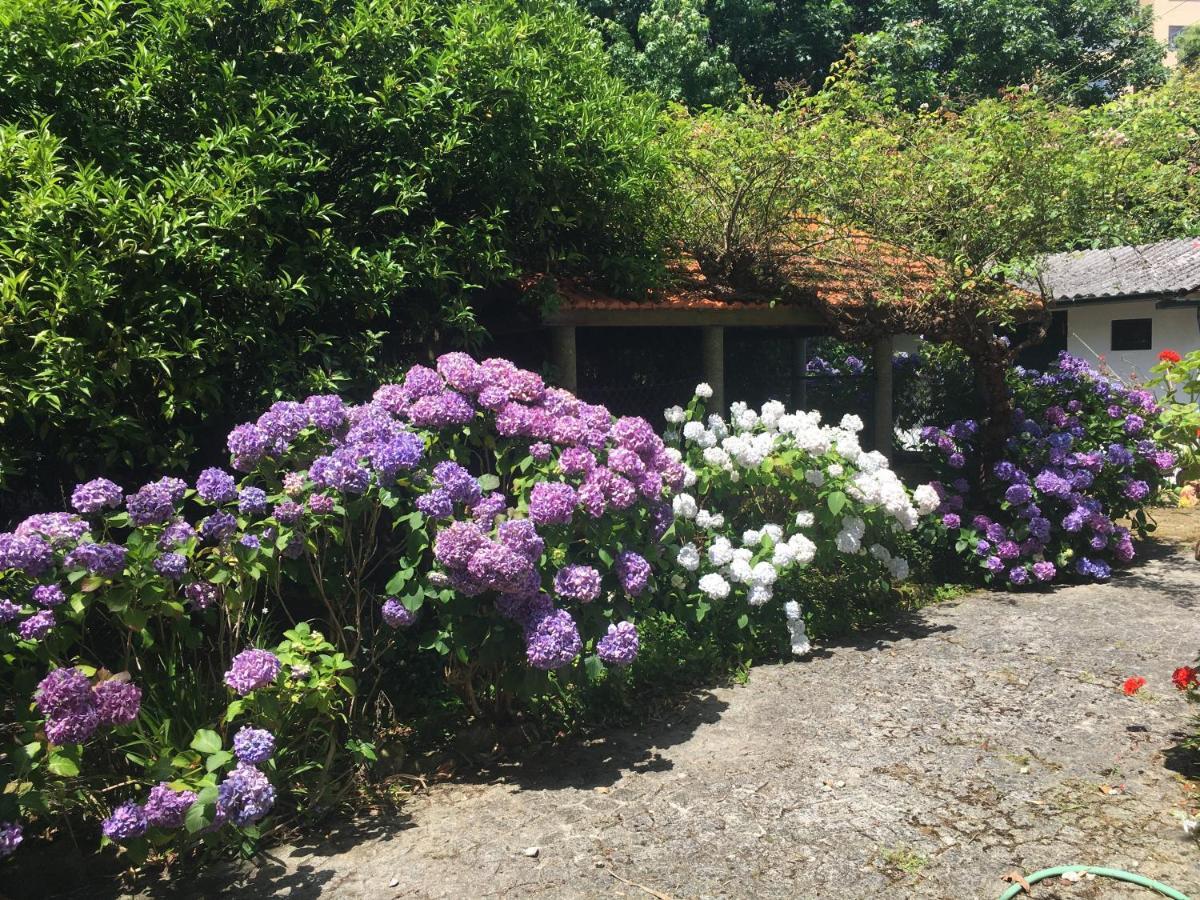 The Oaks House Foz Hotel Порто Екстериор снимка
